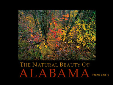 The Natural
          Beauty of Alabama