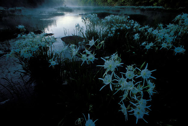 early morning on hatchet
                creek