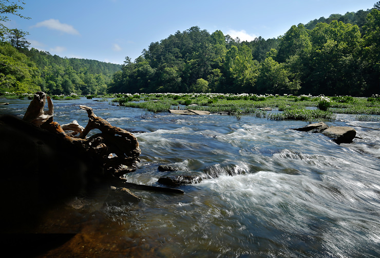 cahaba river
          NWR