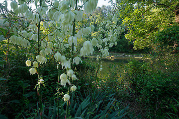 cahaba river
              NWR