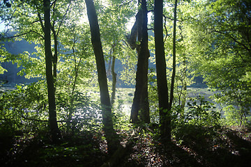 cahaba
            river