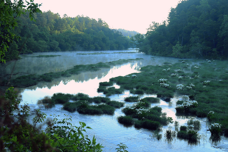 cahaba river
          NWR
