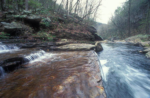 bear creek