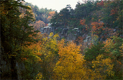 Canyon below DeSoto
              Falls