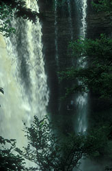 DeSoto
              Falls