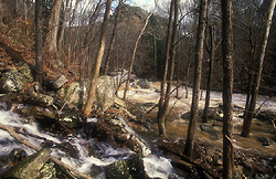 jones creek
