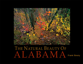 the natural beauty of Alabama